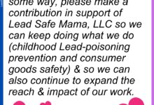 leadsafemama